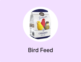 Bird Feed