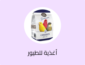 أغذية للطيور