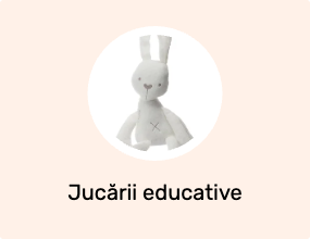 Jucării educative