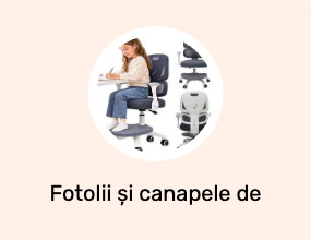 Fotolii și canapele de birou