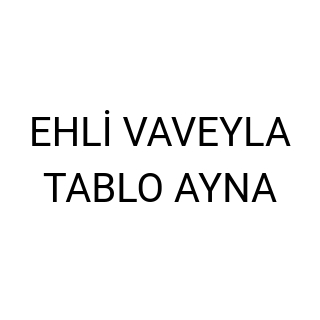 EHLİ VAVEYLA TABLO AYNA