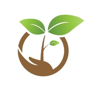 DoÄŸal Åžifa Market logo