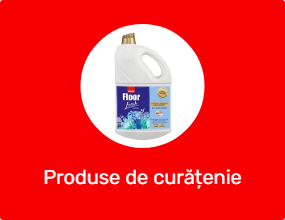 Produse de curățenie profesionale