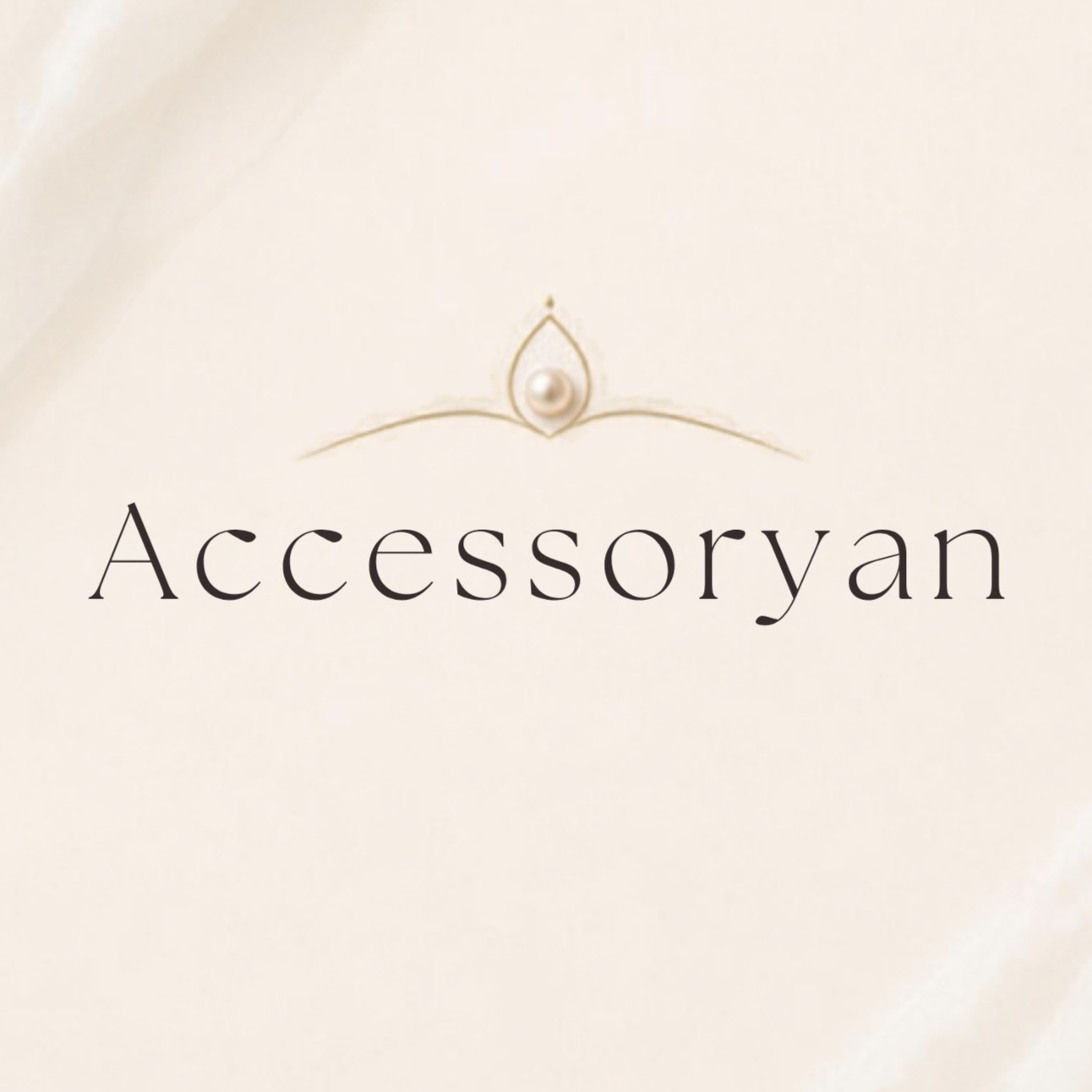 accessoryan