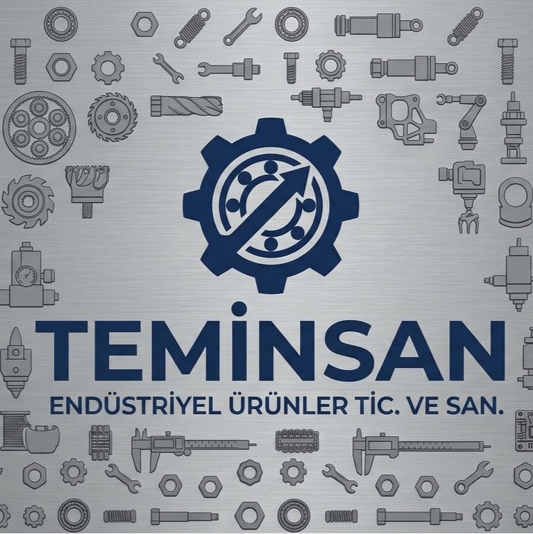 Teminsan