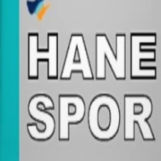 Hane Spor logo