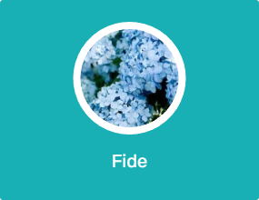 Fide