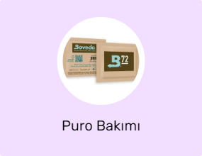 Puro Bakımı