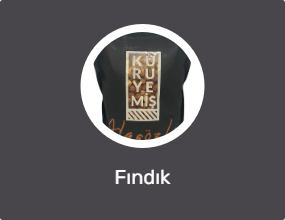 Fındık