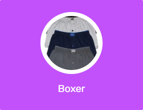 Boxer