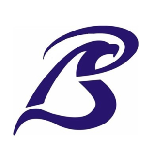 OtoBetamax logo