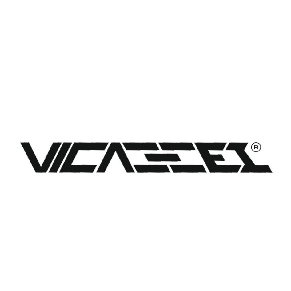Vicassel Studio