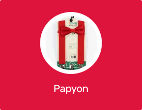Papyon