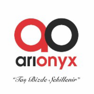 ARI ONYX logo