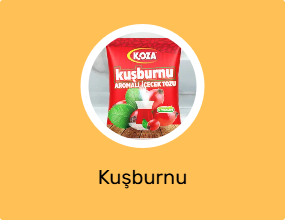Kuşburnu