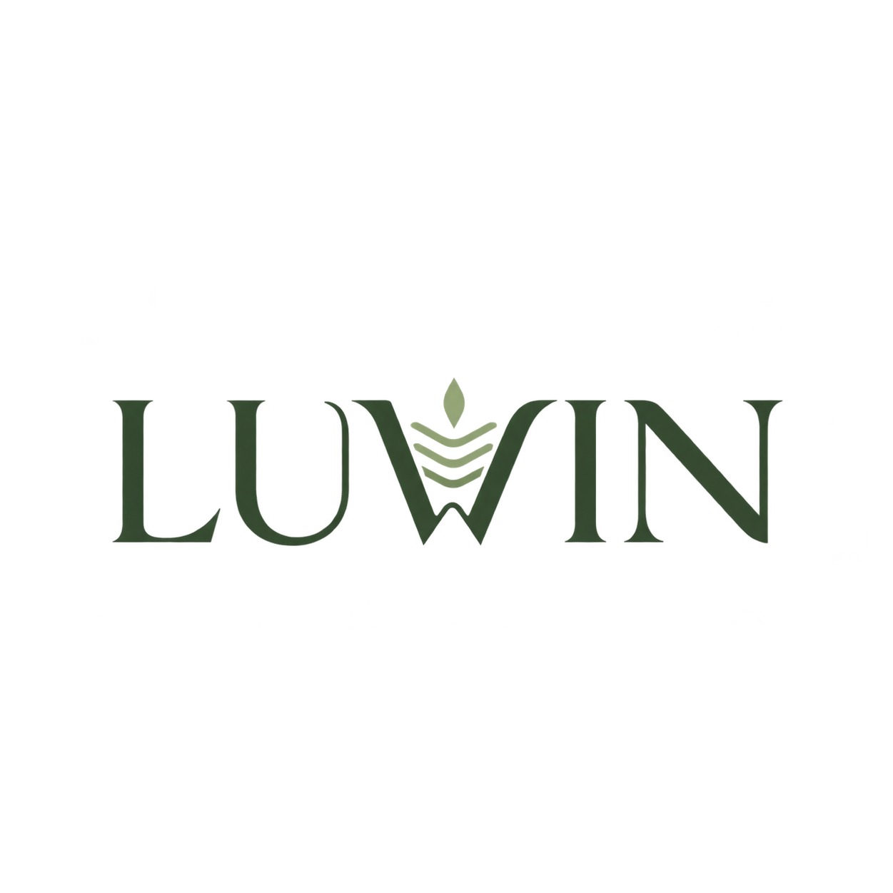 LUWİN