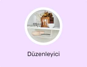 Düzenleyici