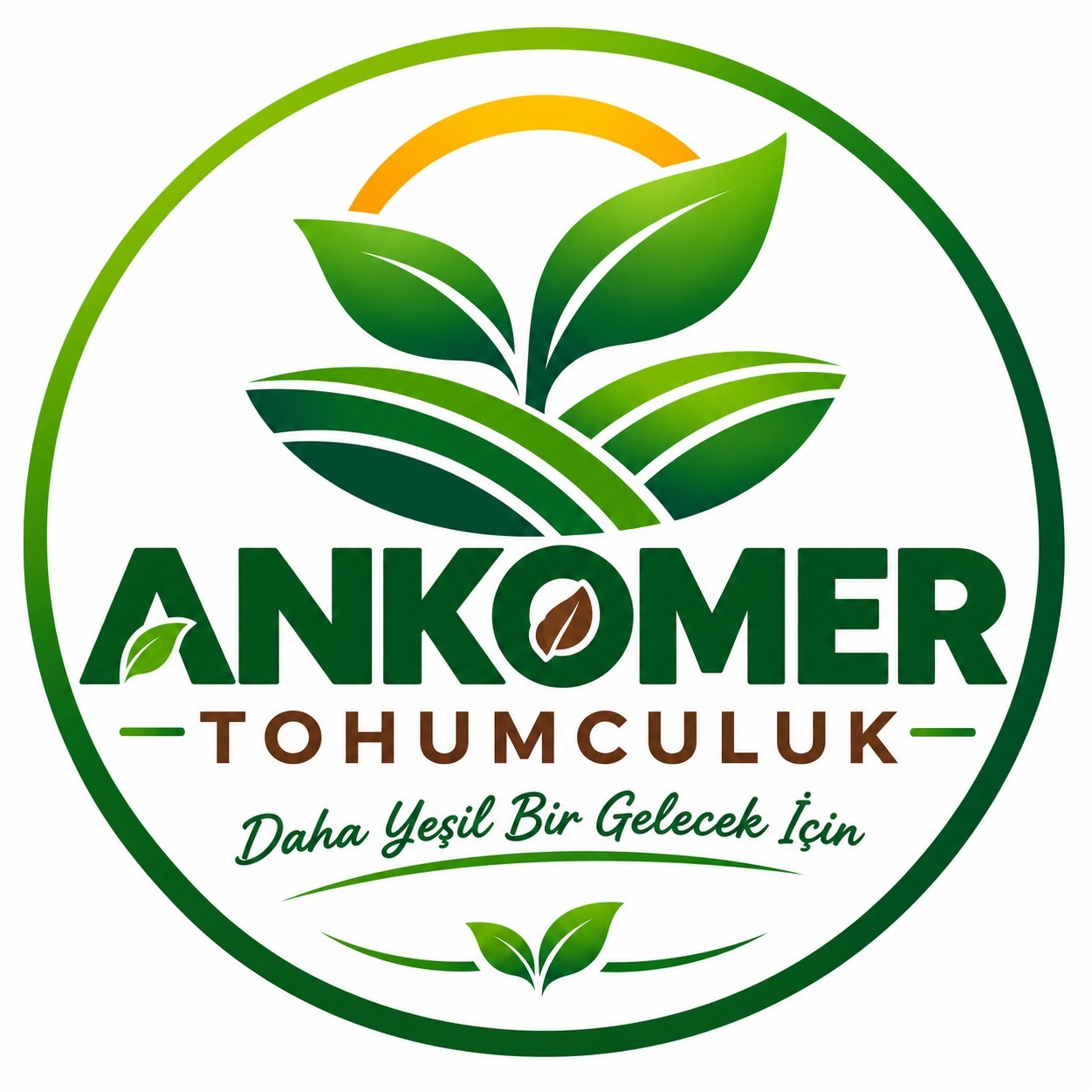 ANKOMER TOHUMCULUK