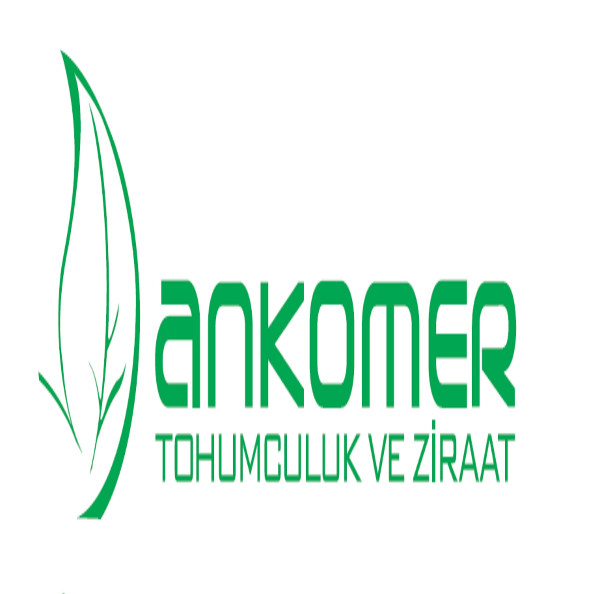 ANKOMER TOHUMCULUK