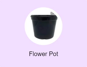 Flower Pot
