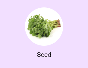 Seed