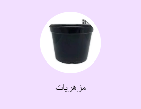 مزهريات