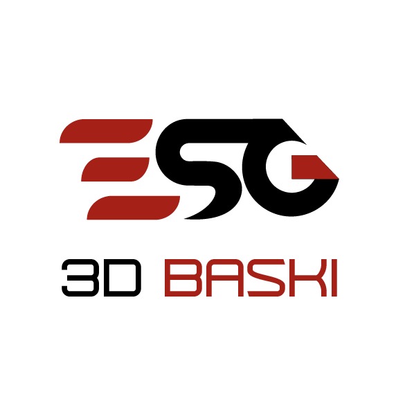 ESG 3D BASKI