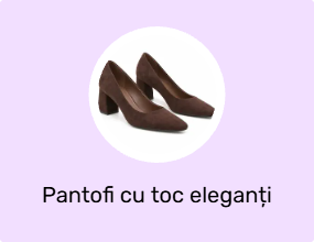 Pantofi cu toc eleganți