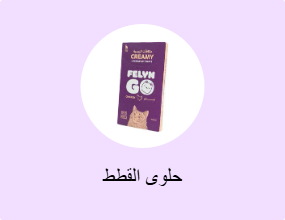 حلوى القطط