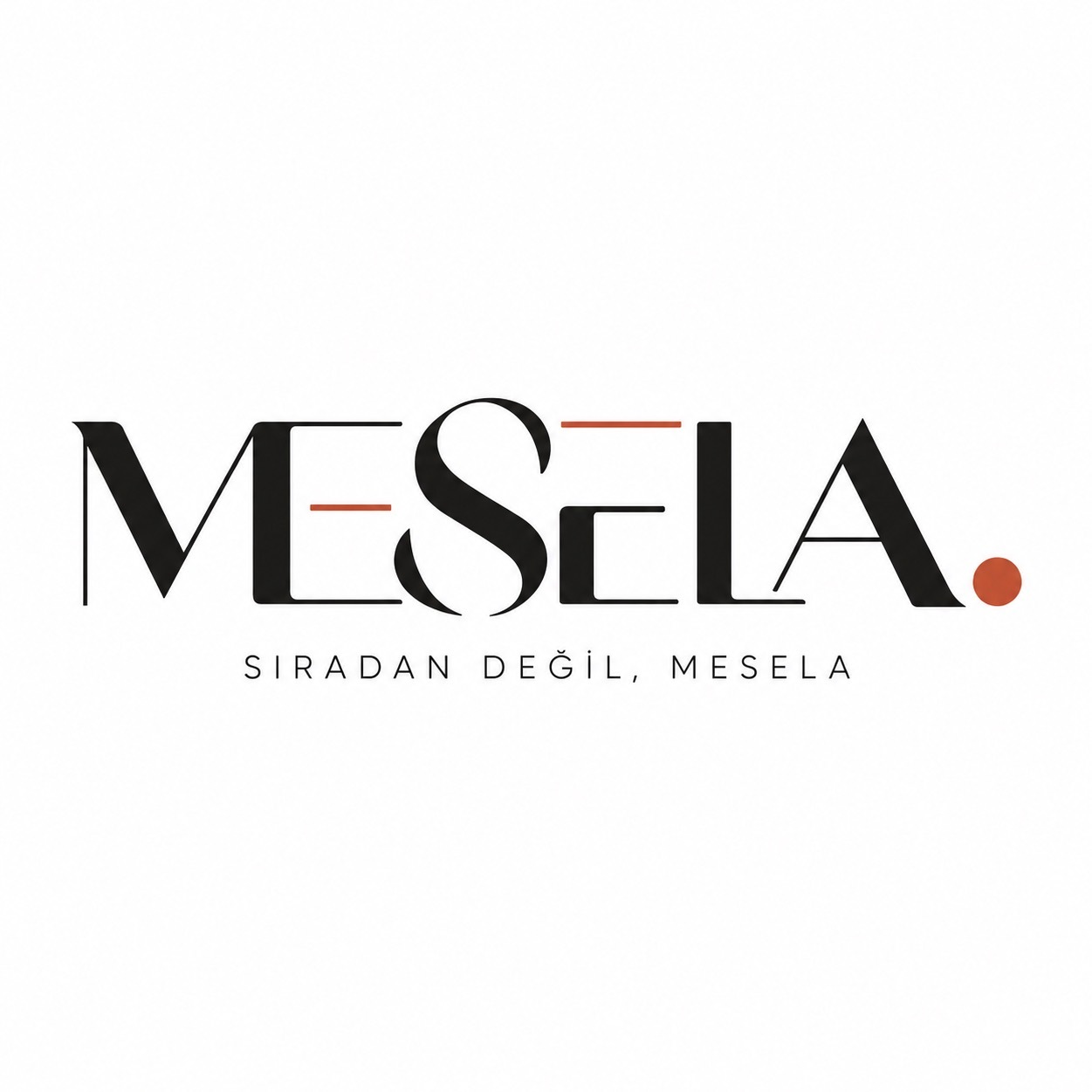 Mesela Co