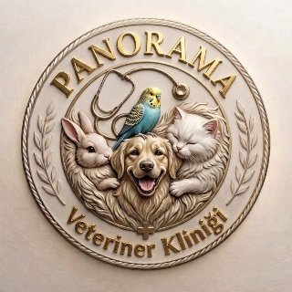 Panorama Shop