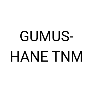 GUMUS-HANE TNM