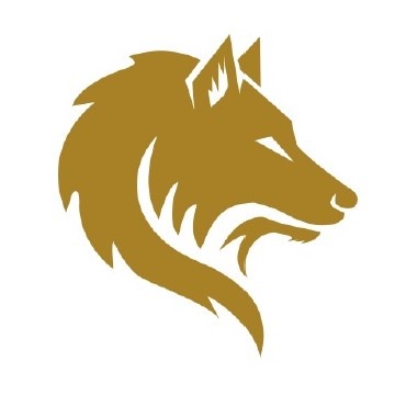 Alfa Çorap