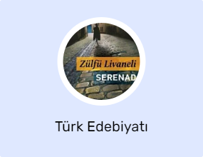 Türk Edebiyatı
