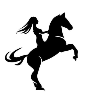 Nas Bag logo