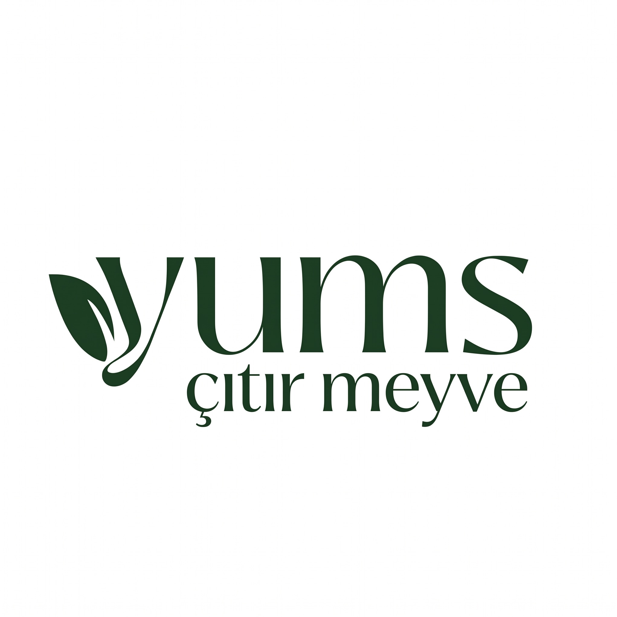 Yums Çıtır Meyve
