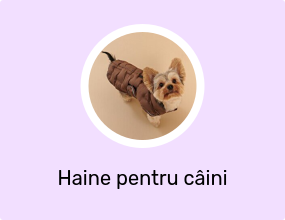 Haine pentru câini