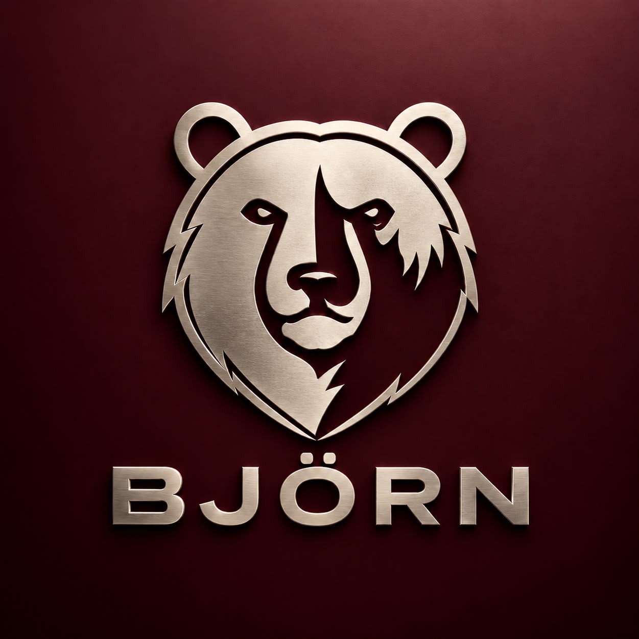 Björn Türkiye
