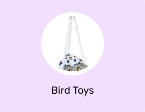 Bird Toys