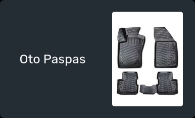 Oto Paspas