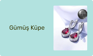 Gümüş Küpe