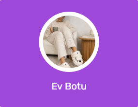 Ev Botu