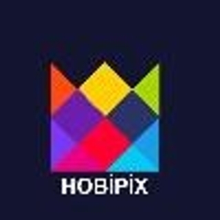 HOBİPİX logo