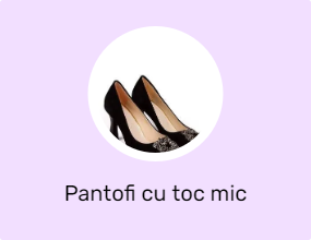 Pantofi cu toc mic