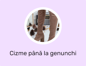 Cizme până la genunchi