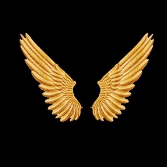 Wings Shop