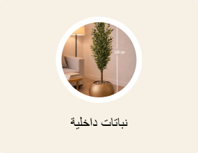 نباتات داخلية