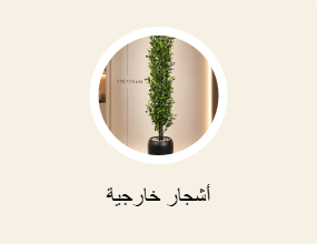 أشجار خارجية