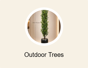 Outdoor Trees