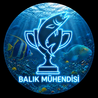 BalıkMühendisi